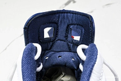 6 “Olympic” Jordan Air 1010